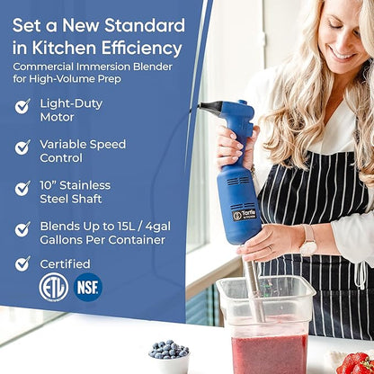 Light Duty 350W 10" Immersion Blender