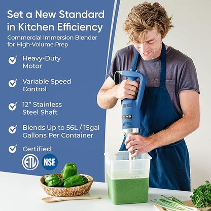 Heavy Duty 500W Immersion Blender